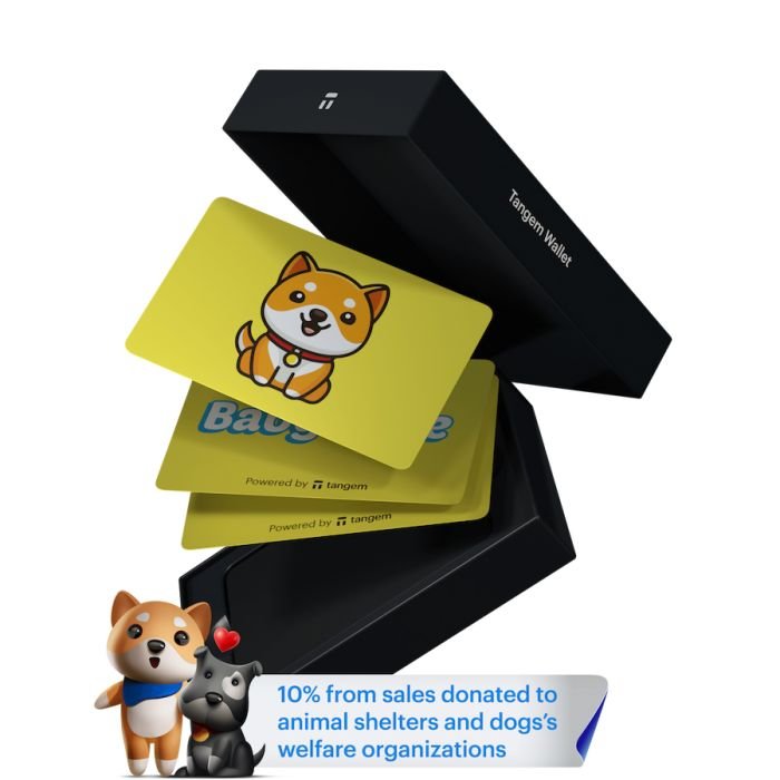 Tangem Wallet x BabyDoge 3 Cards set