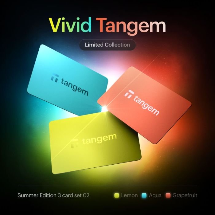 Tangem Wallet 3 Cards set Vivid